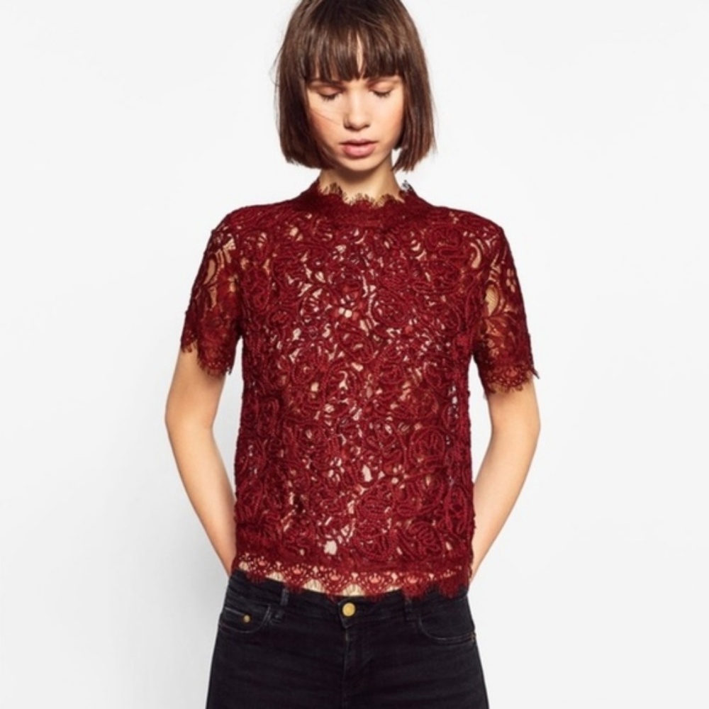 Zara Embroidered Lace T-shirt